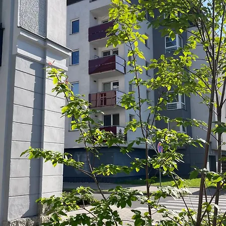 Any Apartament *