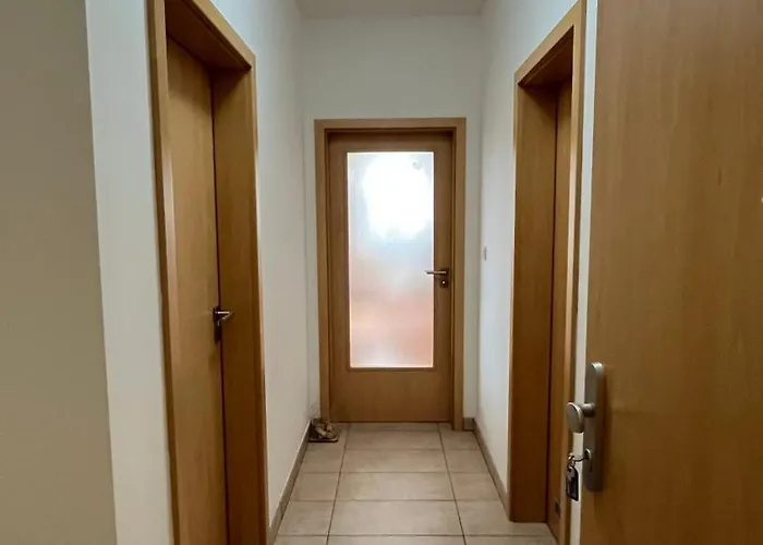 Apartament Any