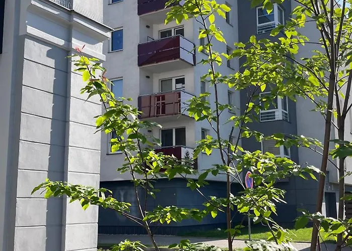 Any Apartament *